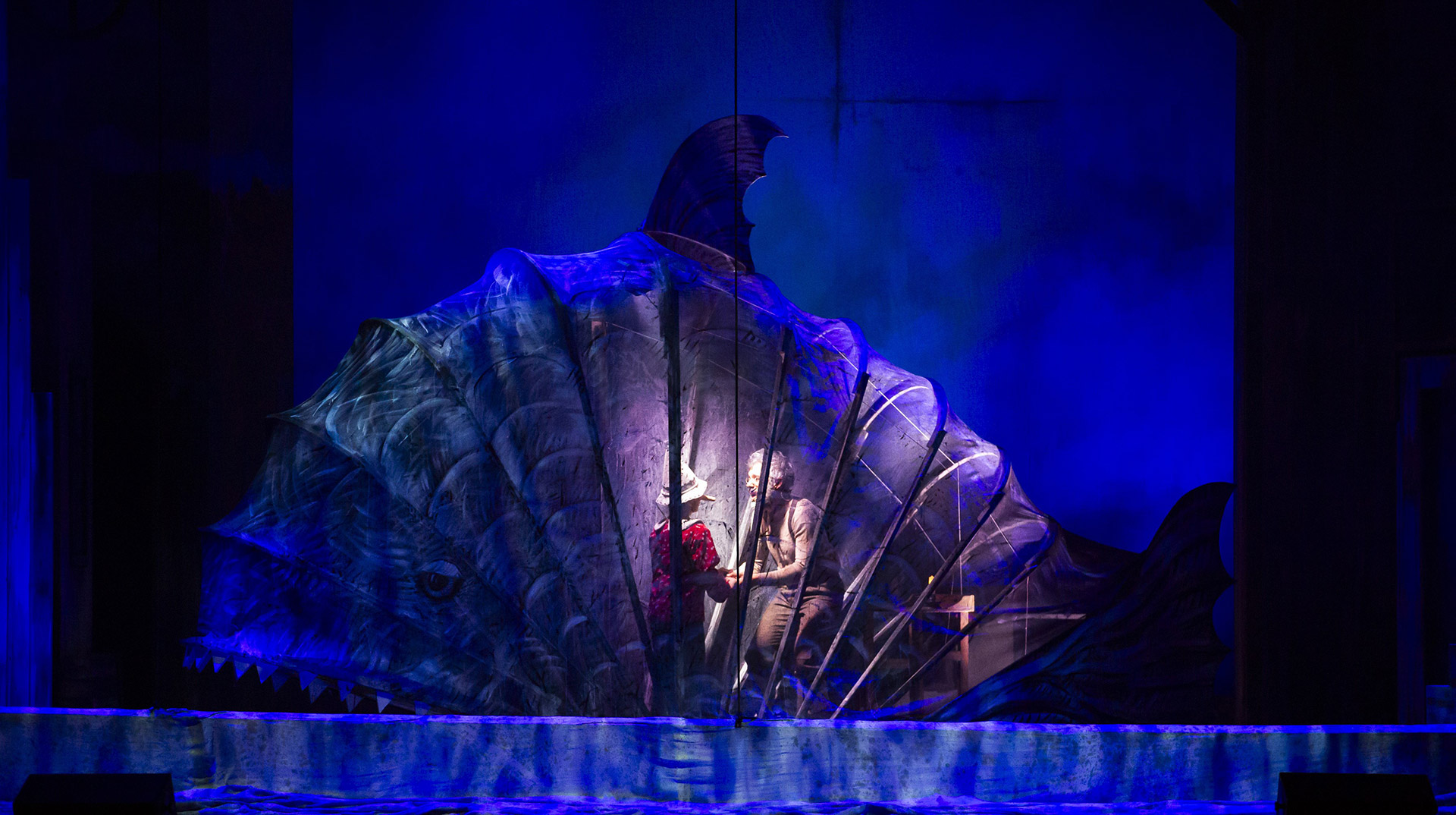 Pinocchio Musical - Foto 2